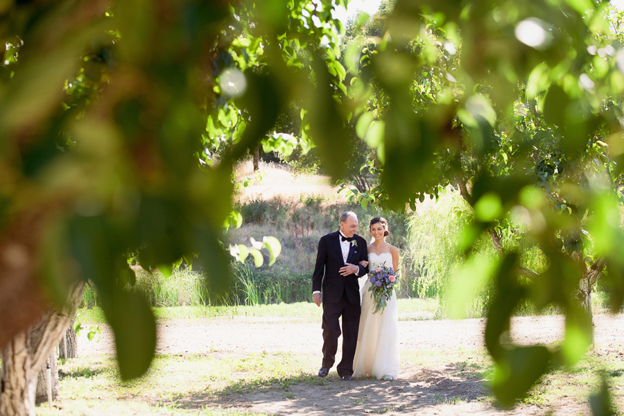 Private estate wedding photography. Wedding at Campovida. wedding ceremony photos.