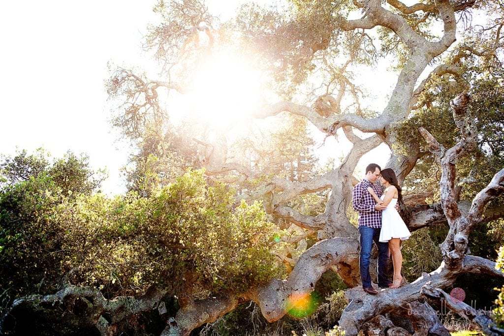 Light filled oak tree engagement session in Santa Cruz California