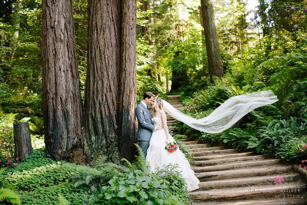Bride and Groom in redwoods at Nestldown Wedding