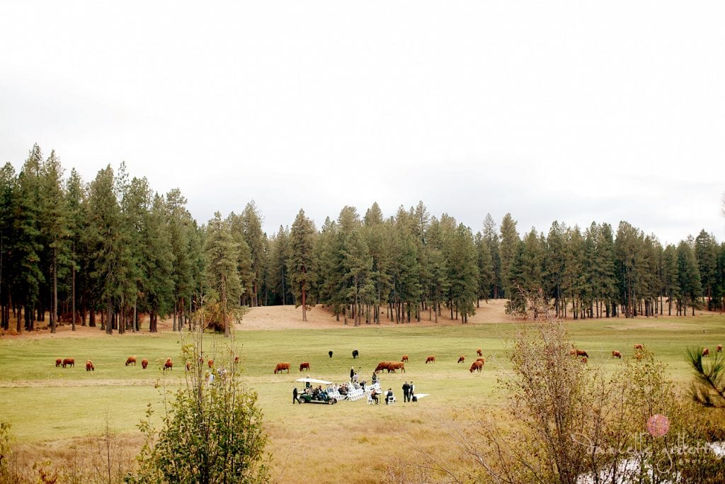 Central Oregon wedding at House on Metolious. Fall Wedding. Ceremony in field by the Metolious River