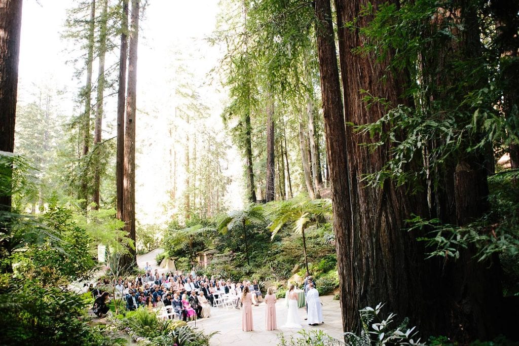 Redwood Wedding Ceremony at Nestldown, Nestldown Wedding Photography, Redwood Wedding in Santa Cruz, Outdoor Wedding, Catholic Indian Wedding, Nestldown Wedding Photographer