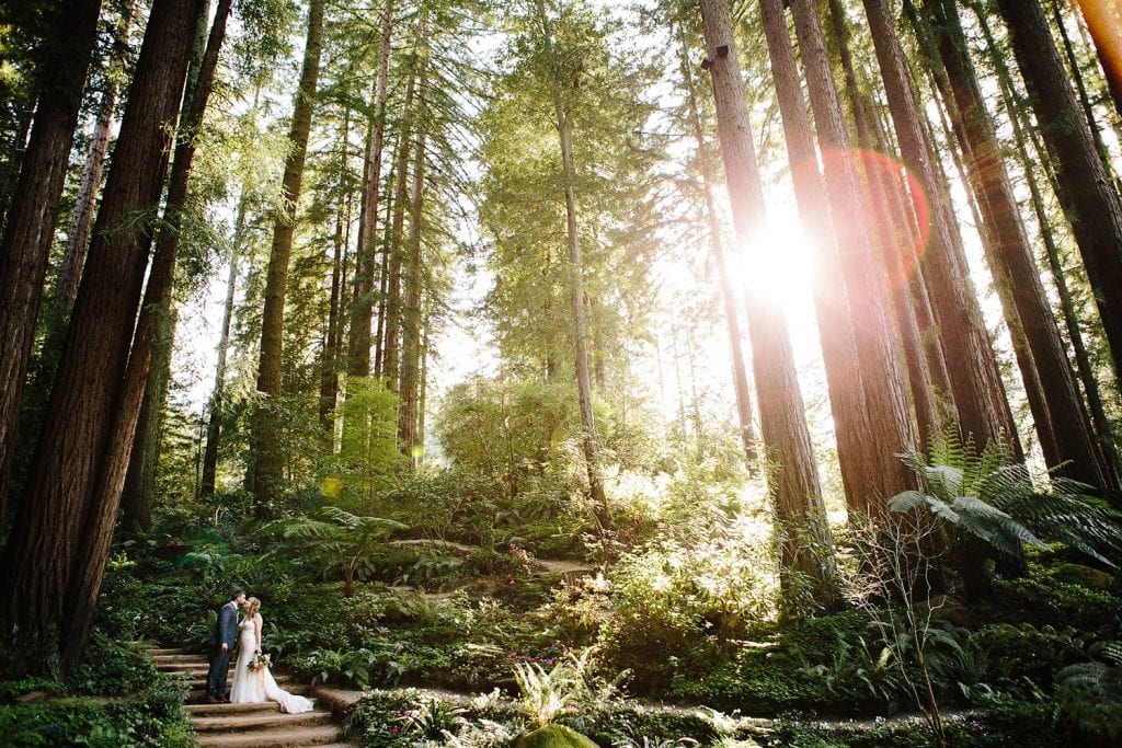 Bride and Groom in Redwoods, Nestldown Wedding Photography, Redwood Wedding in Santa Cruz, Outdoor Wedding, Catholic Indian Wedding, Nestldown Wedding Photographer