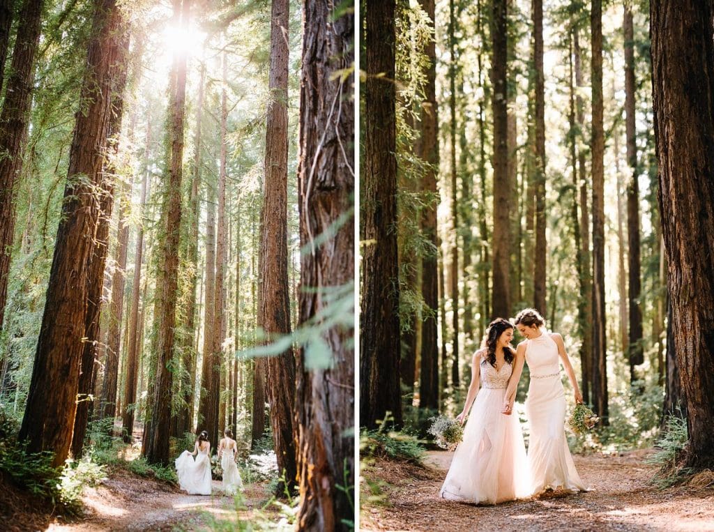 Redwood wedding portraits. Same sex marriage brides at Nestldown Wedding