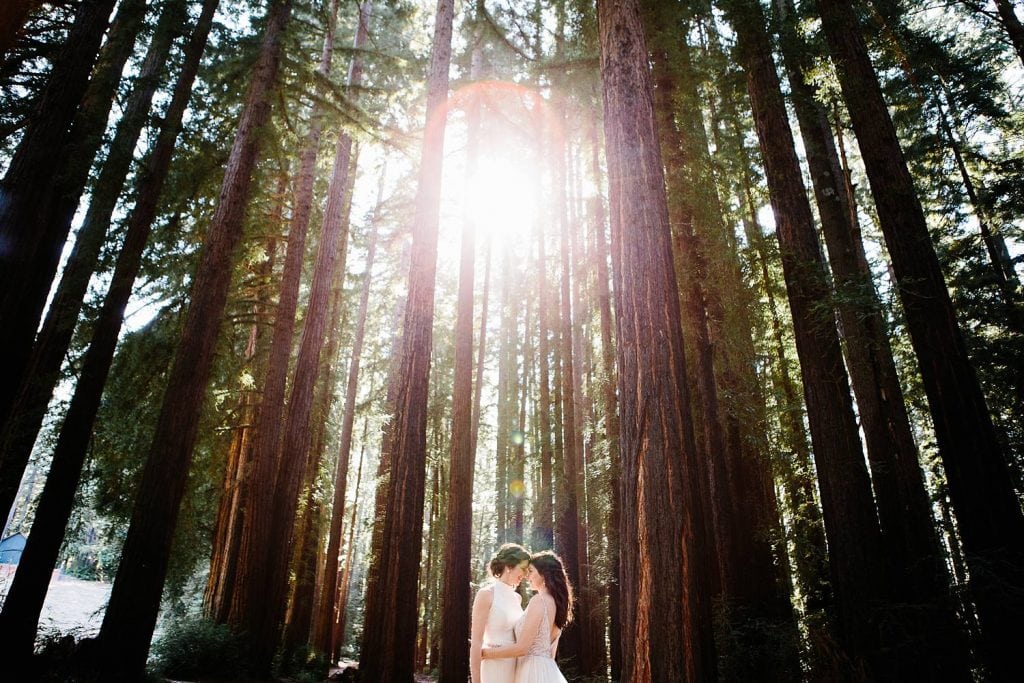 Redwood wedding portraits. Same sex marriage brides at Nestldown Wedding