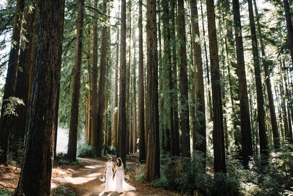 Nestldown Wedding photos. Redwood Wedding at Nestlodwn. Nestldown Wedding Photographer. Bride and Groom Redwood Wedding Photo