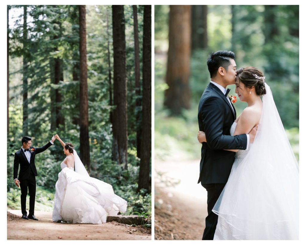 Bride and Groom in Redwoods at Nestldown wedding