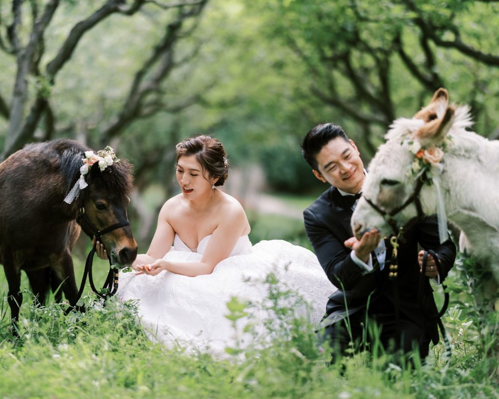Bride and groom with horses at Nestldown wedding