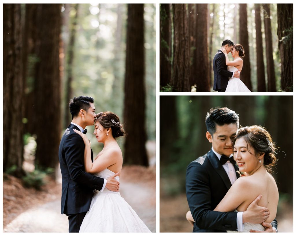 Bride and groom in redwoods at Nestldown wedding