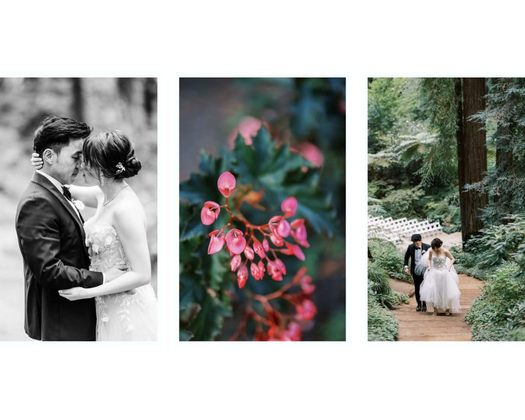 Nestldown Wedding photos. Wedding Photos in the Nestldown Redwoods