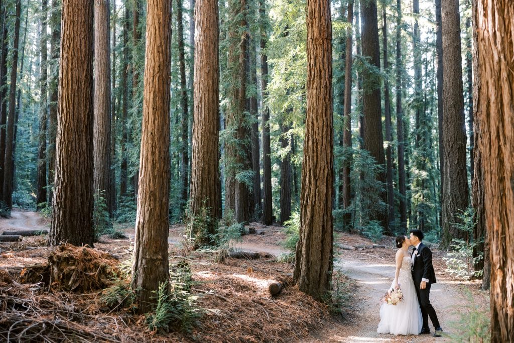 Nestldown wedding couple in the redwoods. Nestldwn Wedding Photos